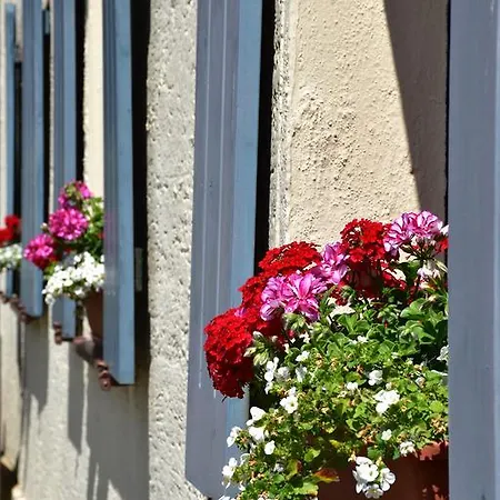 Folk Guest house *